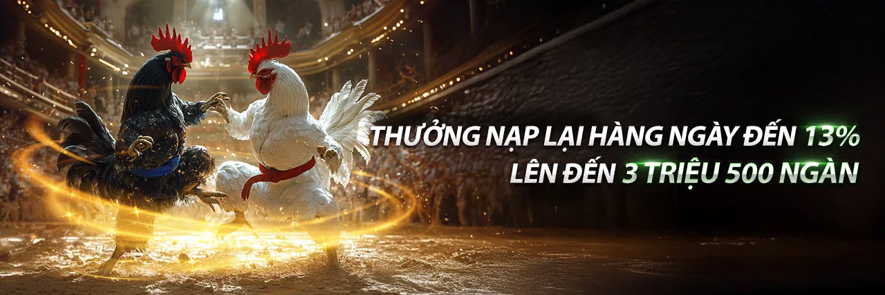 Hình ảnh đá gà trực tuyến kịch tính tại nn88 game